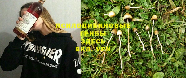каннабис Новозыбков